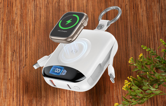 Portable Power Bank for Cancer Patients
